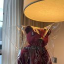 신라스테이플러스 이호테우 이미지