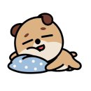 정글비대전 | 🏝️베트남 여행기🏝️