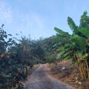 침곡농장 이미지