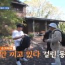 독박굴농장 이미지