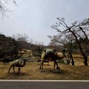 20250324-28 KOICA_IPM 요구정의 이미지
