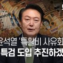 총장 윤석열의 특활비 사유화 의혹 풀기 위한 국정조사, 특별검사 도입 추진한다 이미지