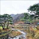 대양자원 | 경북벚꽃명소 김천 가볼만한곳 김천 황악산 직지사 김천 벚꽃 계곡 사명대사공원