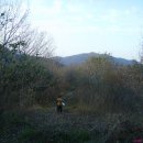 차령고개로 이미지