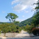 연꽃자리캠핑타운