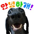 건강한죽 이미지