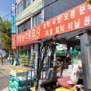 수정벌마야 이미지