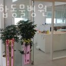 한샘동물병원 이미지