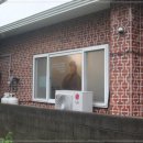 표선칼국수 이미지