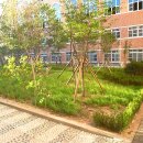 학성초등학교 이미지