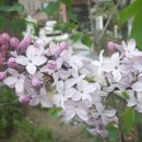 한우리교회 이미지