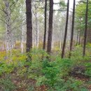 자유시간 이미지