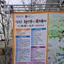 중앙체육공원 | 익산 가볼만한곳 중앙 체육공원 천만송이 국화축제 후기