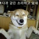 히히 - 고양시 일산서구 대산로 162 | 히히