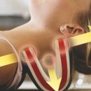 하루비어 이미지