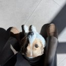 세차의 고수 장흥남외점 이미지