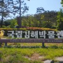 국립김해박물관 카페 CSJ COFFEE 어린이박물관 김해 가볼만한곳 1탄