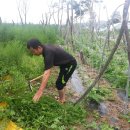 마땅농장 이미지