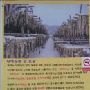 진선미황태마을 이미지