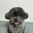 머뭉공간