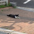 해바라기푸드