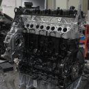 카센타 TM 이미지