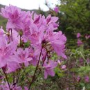 중산리시외버스정류장 이미지