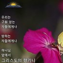 그리스도의향기