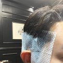 하우스 오브 마에스트로