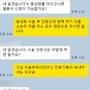 캣토피아 | 노르웨이숲 고양이 분양 후기(ft.캣토피아)