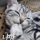 공감 이미지