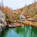 미동산수목원 이미지