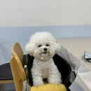 울진물회 이미지