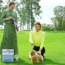 베스트 인 쇼 이미지