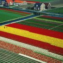 마두로담 이미지