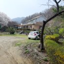 흑염소아스콘 네이버블로그
