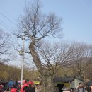 남천고을 이미지