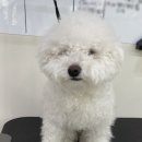 몽스빌리지 이미지