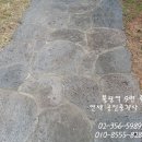 불광동 305-8 이미지