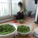 시현농장 이미지