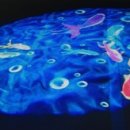 논곡중학교 내 이미지