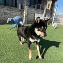 현재네시장식당 | 그 렇 게