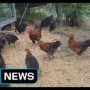 이유농장 이미지