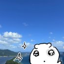 소나무유치원 | 오사카 출발 교토 북부 버스투어 후기｜아마노하시다테 &amp; 이네후나야 라쿠투어 내돈내산