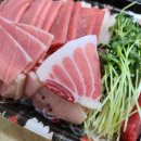 보스참치 이미지