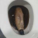 강서로 68길 이미지