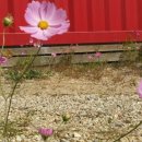 오토하우스 이미지