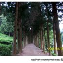 봇재다원화장실 이미지