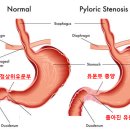 울산에스동물메디컬센터 이미지
