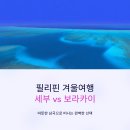 카페시벳(cafe civet) | 필리핀 겨울여행 세부와 보라카이 중 어디가 더 좋을까?